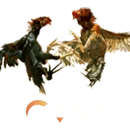 GA28