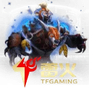 TF Gaming