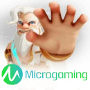 MicroGaming